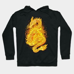 FIRE DRAGON Hoodie